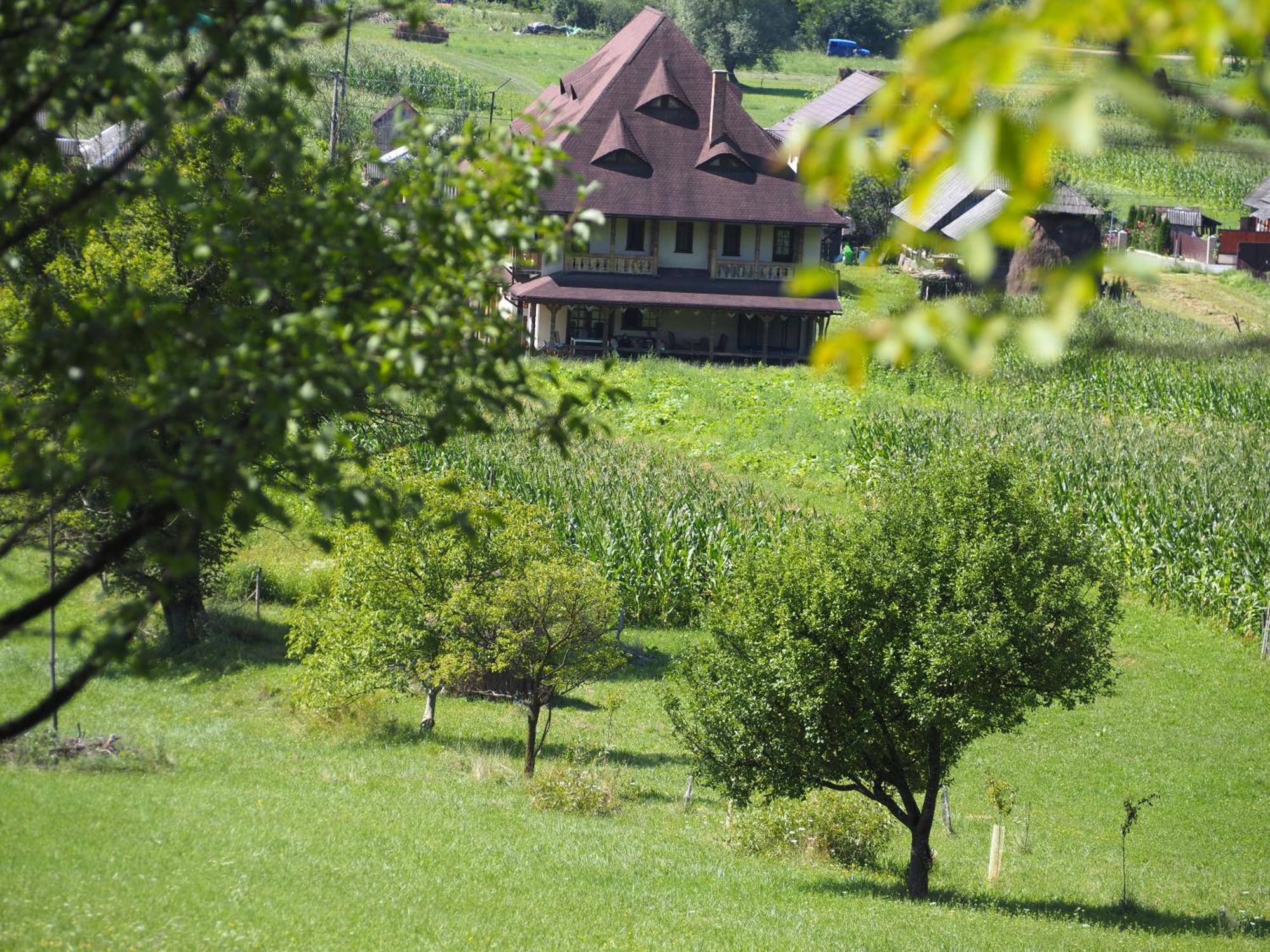 Pensiunea Sanziene Strîmtura Exterior photo